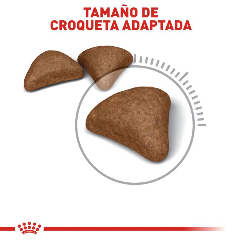 royal-canin-alimento-control-bolas-de-pelo-gato