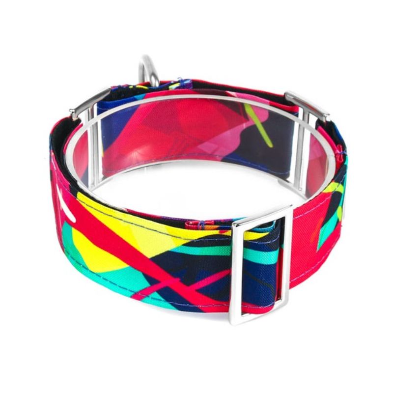 bellcher-collar-martingale-donelly-colors-25-cm