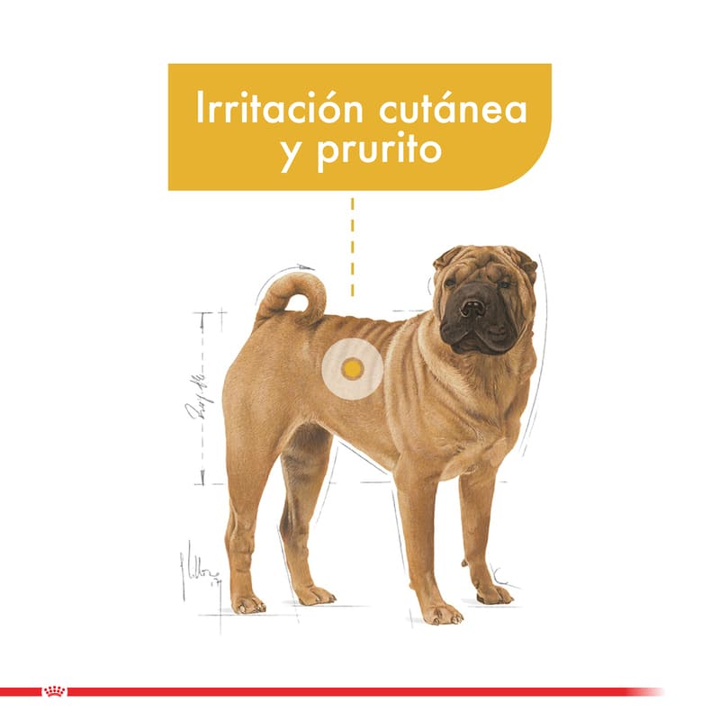 royal-canin-alimento-seco-perro-medium-dermaconfort