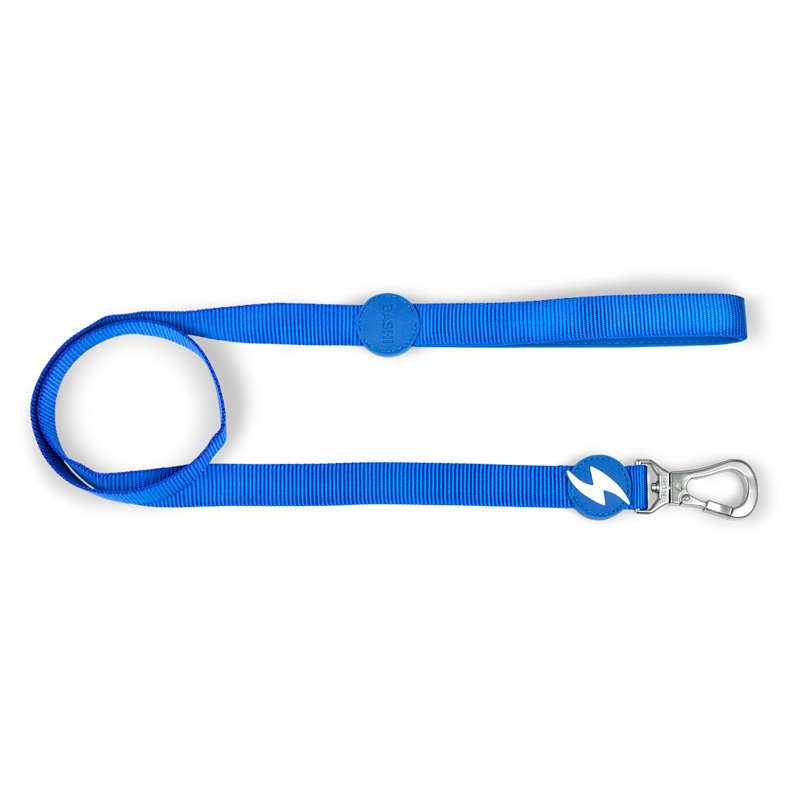 dashi-correa-azul-para-perro