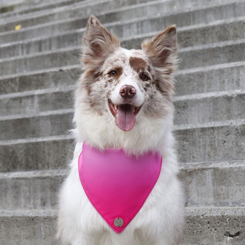 alana-bandana-bandana-bubblegum-pink