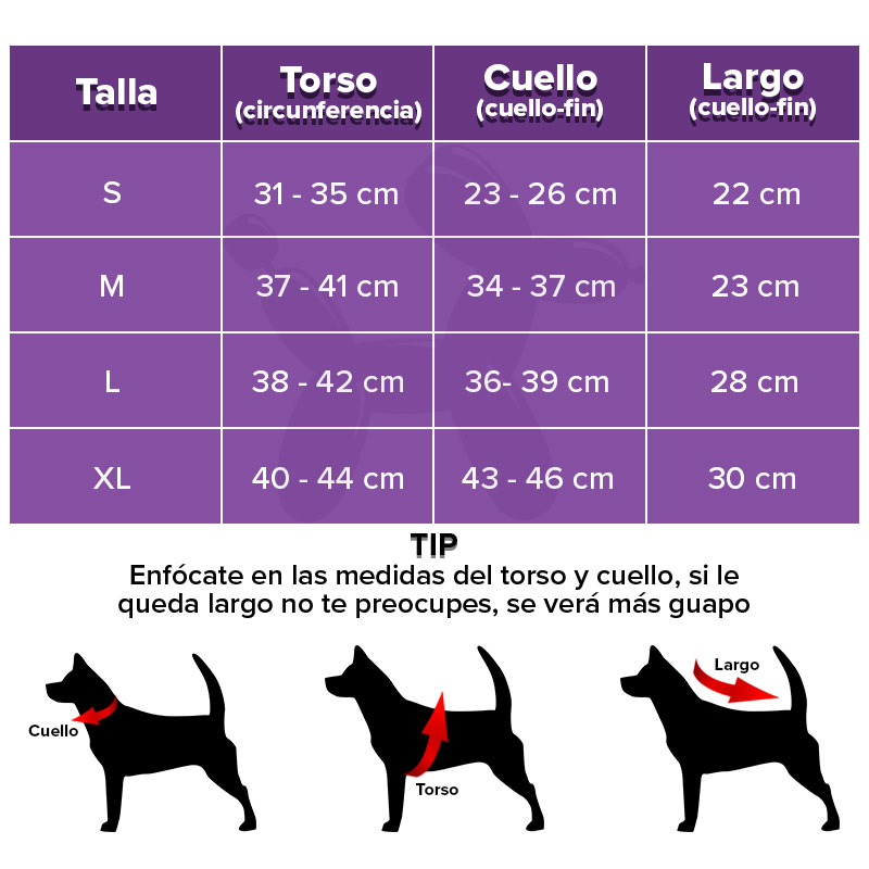 cachivaques-disfraz-batichica-mascota-warner