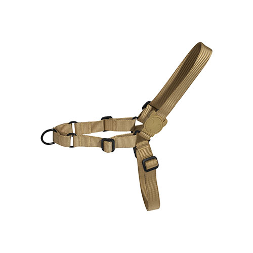 zeedog-arnes-sand-soft-walk