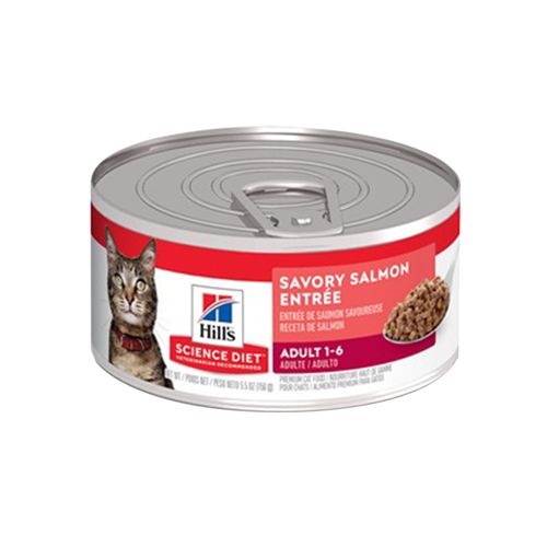 HILL´S - Science Diet Wet Cat Food, Adult, Savory Salmon Recipe