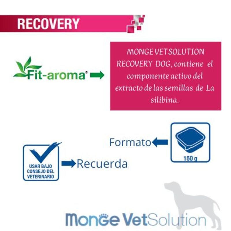 monge-vetsolution-recovery-canine