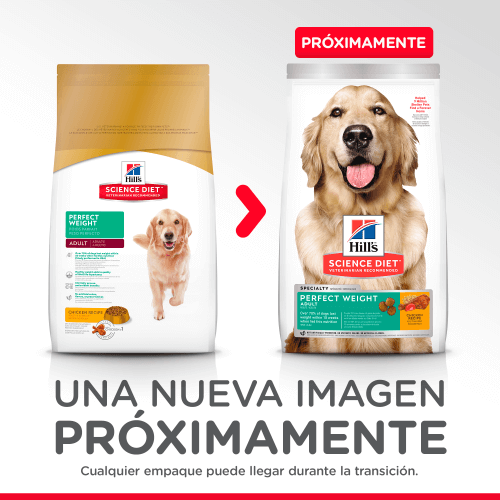 hills-science-diet-adult-perfect-weight-dog