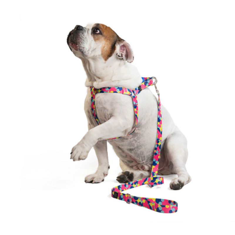 Obi Pet Supplies - Bicombo Arnés/Correa Funny