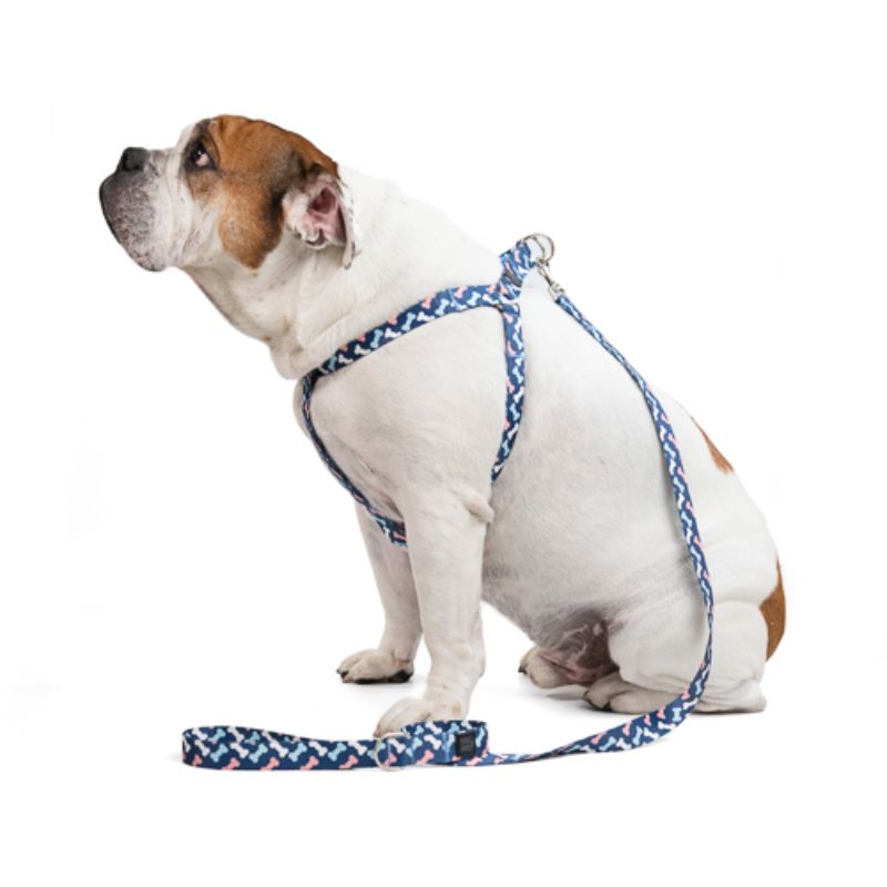 Obi Pet Supplies - Bicombo Arnés Huesitos Blue