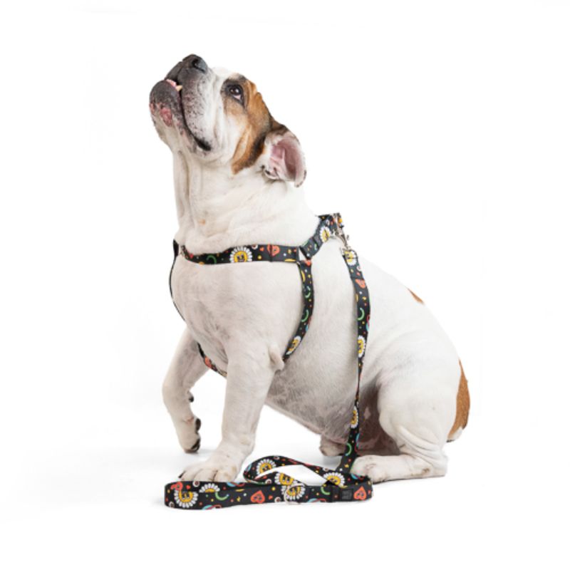 obi-pet-supplies-bicombo-arnes-space-entrega-en-4-dias-habiles