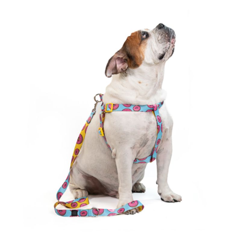 Obi Pet Supplies - Bicombo Arnés/Correa Yummy
