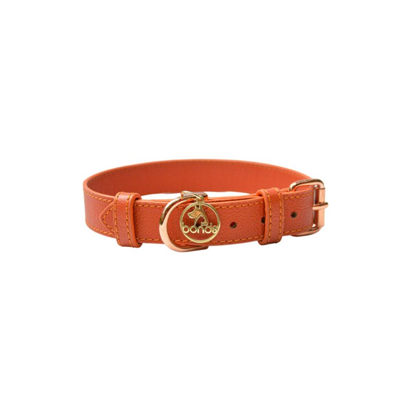 Bonds Pet - Collar Sunset **Entrega En 5 Días Hábiles**