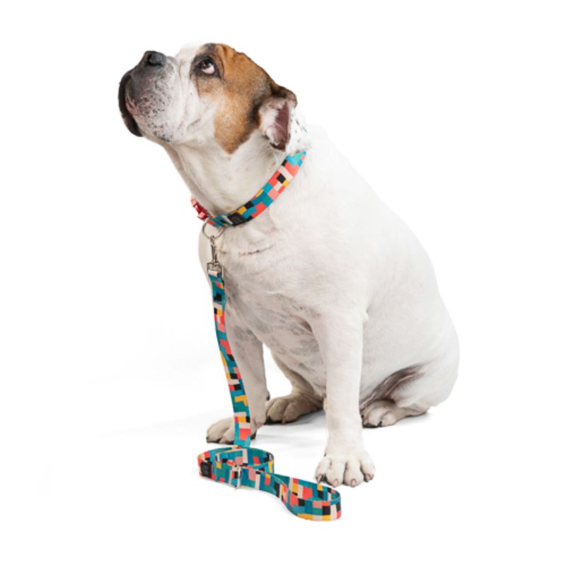 obi-pet-supplies-bicombo-collar-blocks-entrega-en-4-dias-habiles