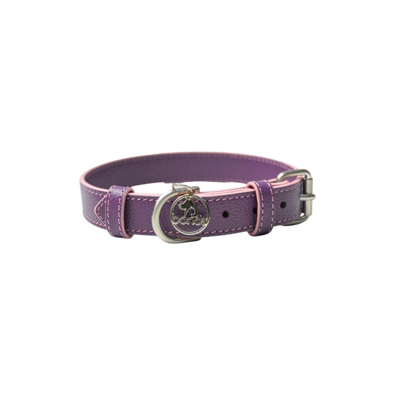 bonds-pet-collar-magenta-rose-entrega-en-5-dias-habiles