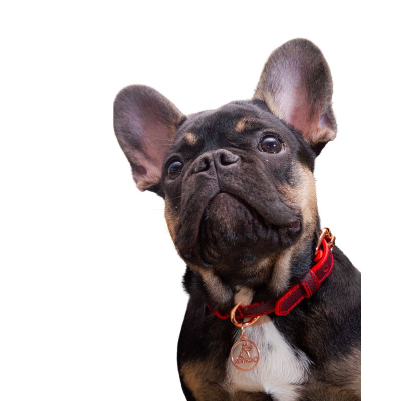 bonds-pet-collar-red-wine