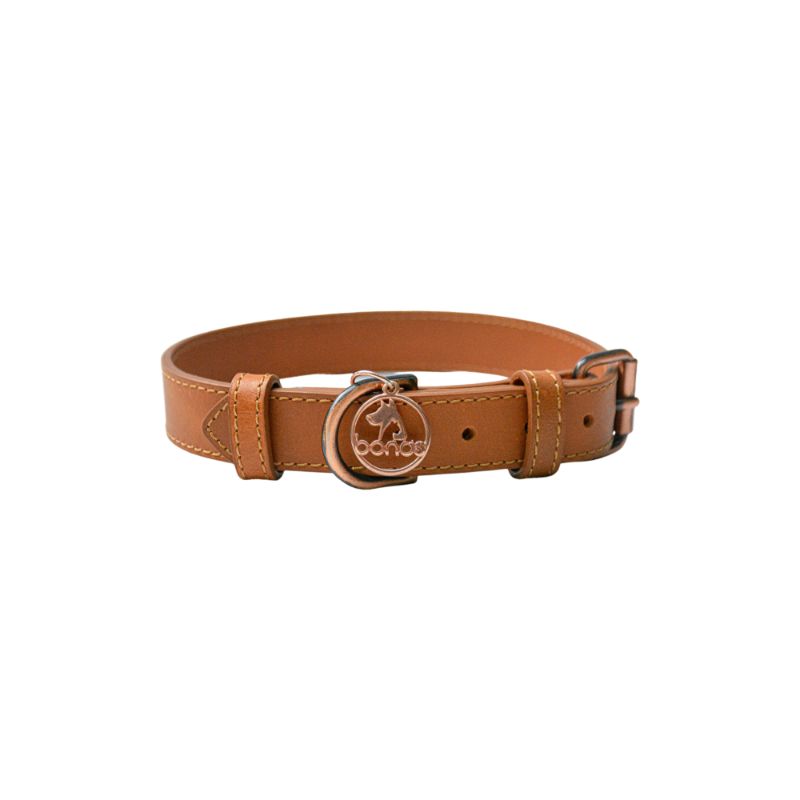 Bonds Pet - Collar Honey **Entrega En 5 Días Hábiles**