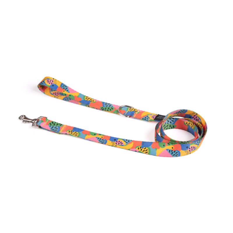 obi-pet-supplies-bicombo-collar-frutti-entrega-en-4-dias-habiles
