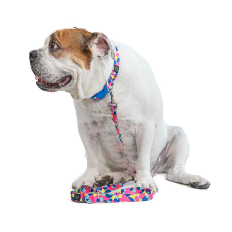 Obi Pet Supplies - Bicombo Collar Funny