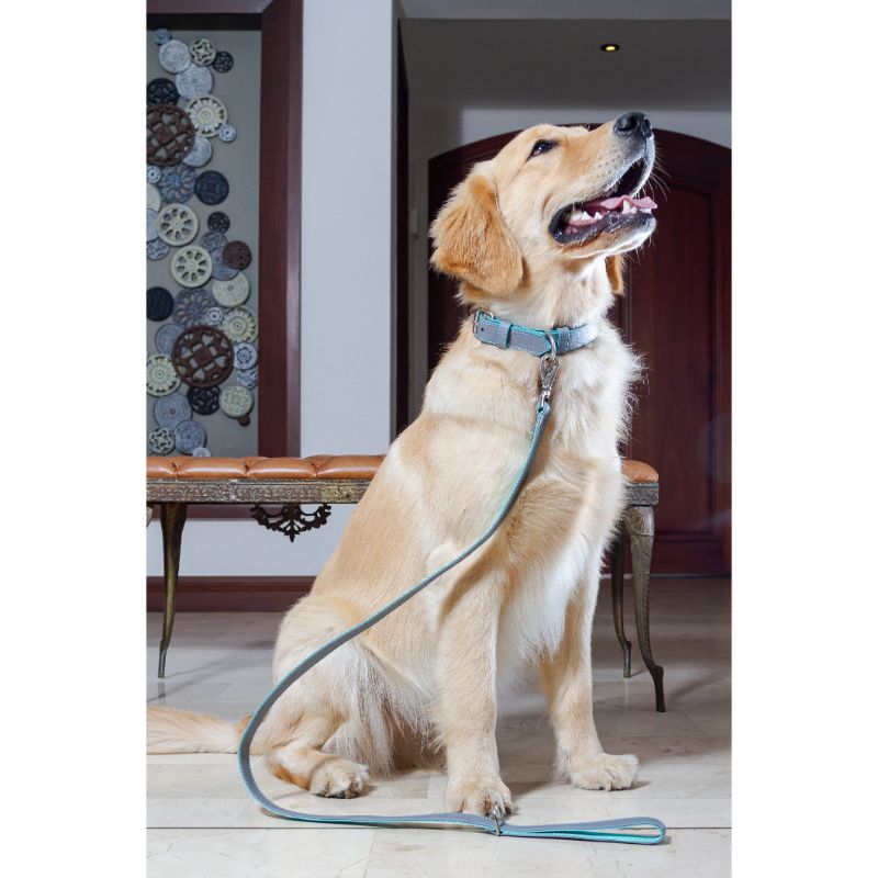 bonds-pet-set-grey-mint