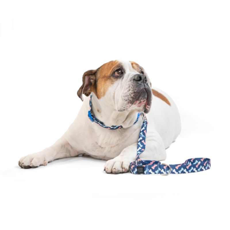 Obi Pet Supplies - Bicombo Collar Huesitos Blue