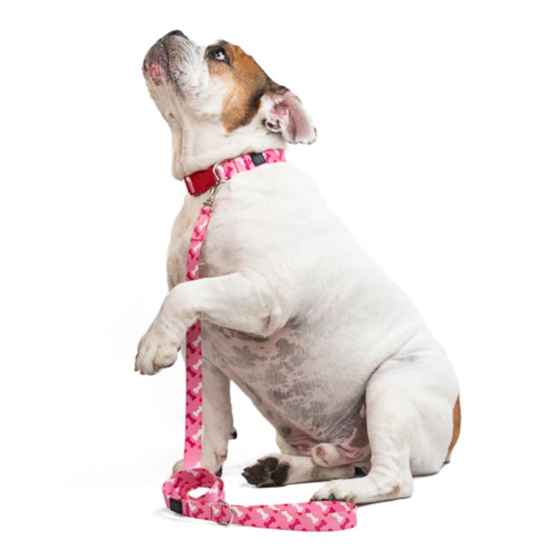 Obi Pet Supplies - Bicombo Collar Huesitos Pink