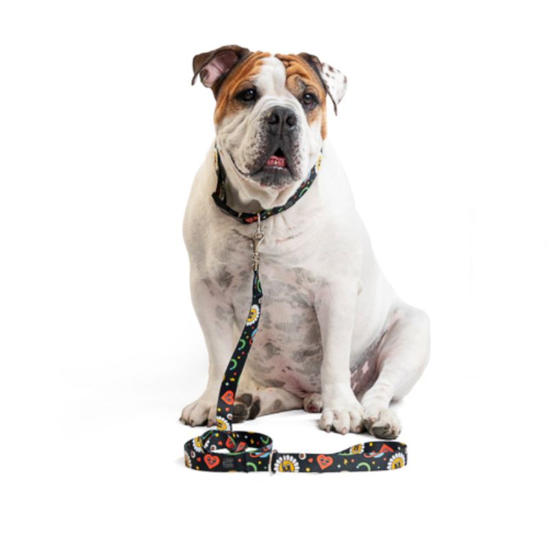 obi-pet-supplies-bicombo-collar-space-entrega-en-4-dias-habiles