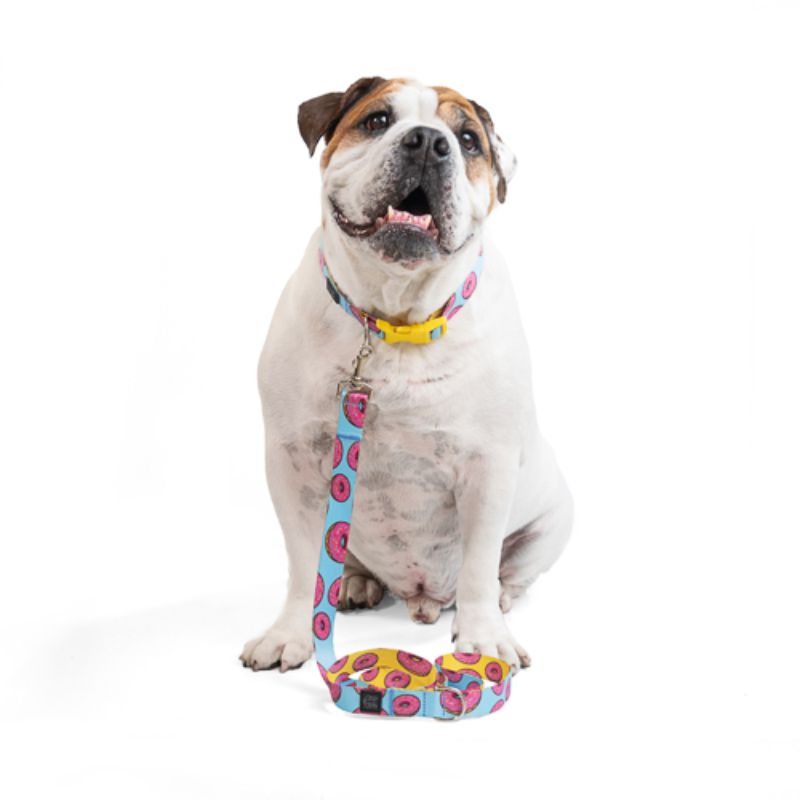 Obi Pet Supplies - Bicombo Collar/Correa Yummy