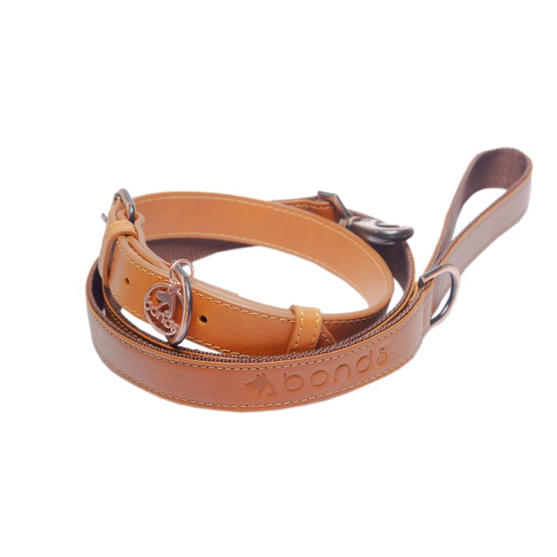 bonds-pet-set-honey