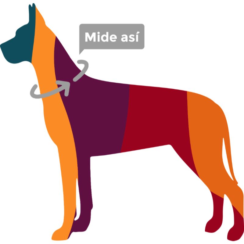bonds-pet-set-red-wine
