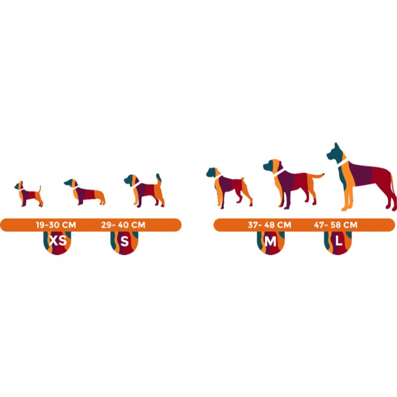 bonds-pet-set-red-wine