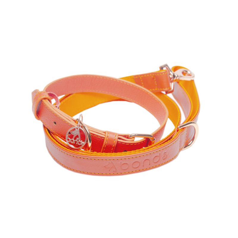 bonds-pet-set-sunset
