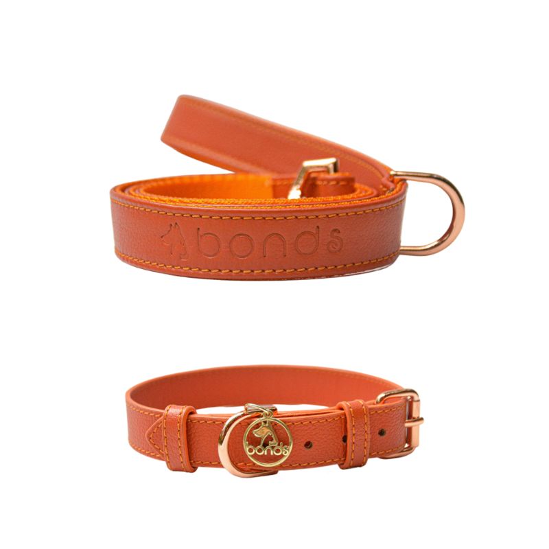 bonds-pet-set-sunset