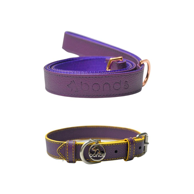 bonds-pet-set-magenta-sun