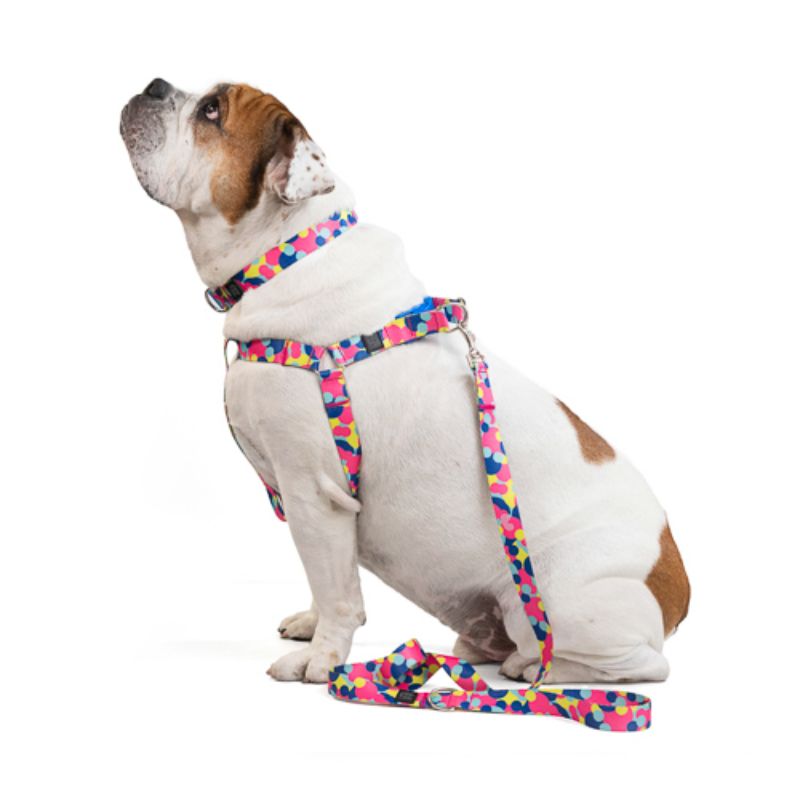 Obi Pet Supplies - Tricombo Funny