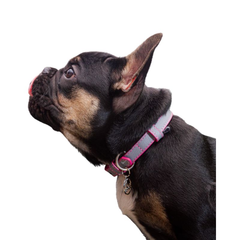 bonds-pet-collar-grey-rose
