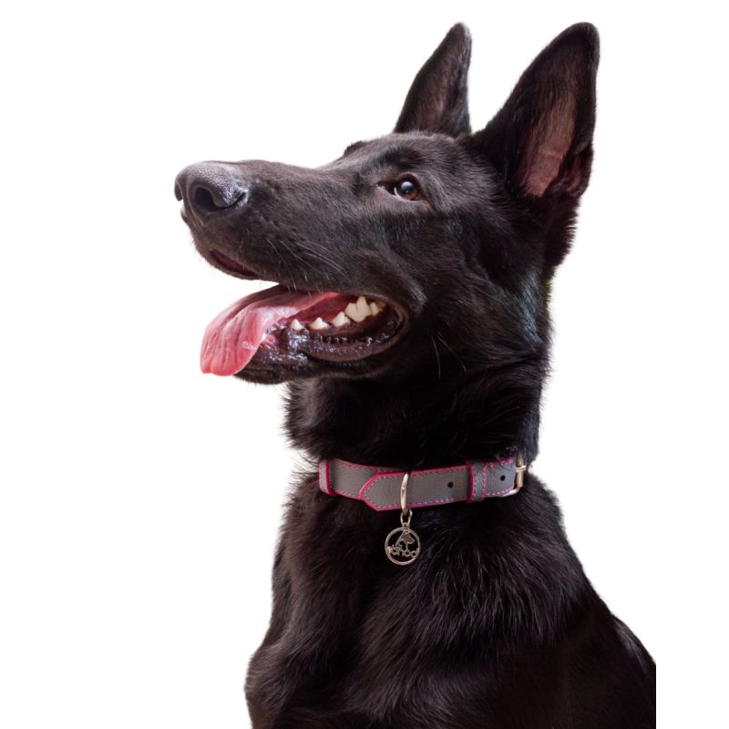 bonds-pet-collar-grey-rose