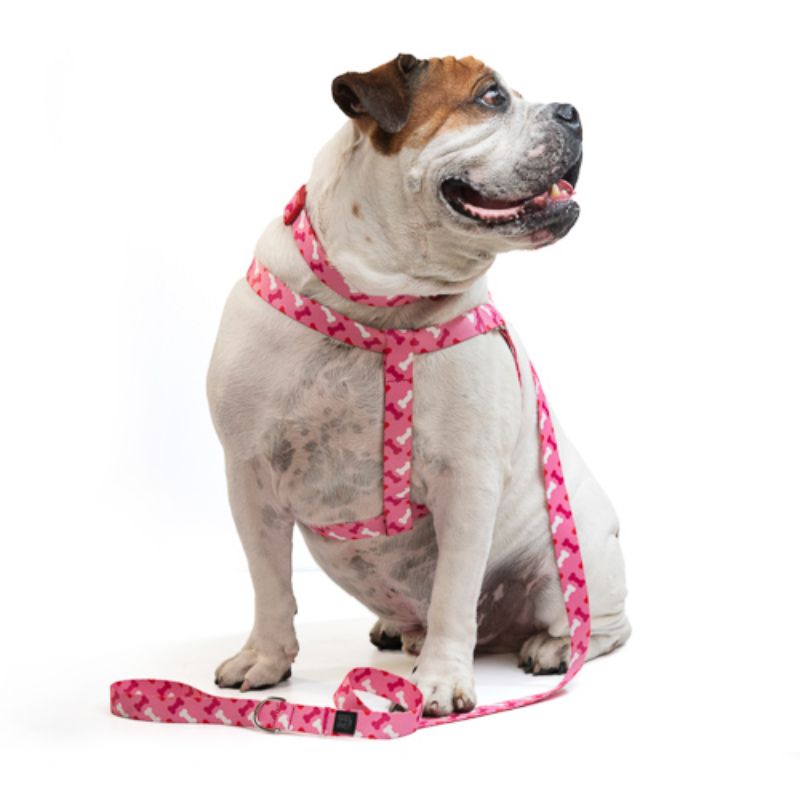 Obi Pet Supplies - Tricombo Collar/Arnés/Correa Huesitos