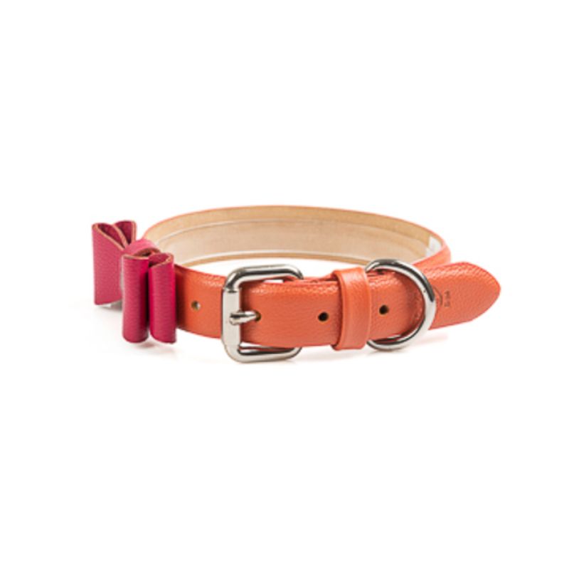 Obi Pet Supplies - Collar Adam Mandarina
