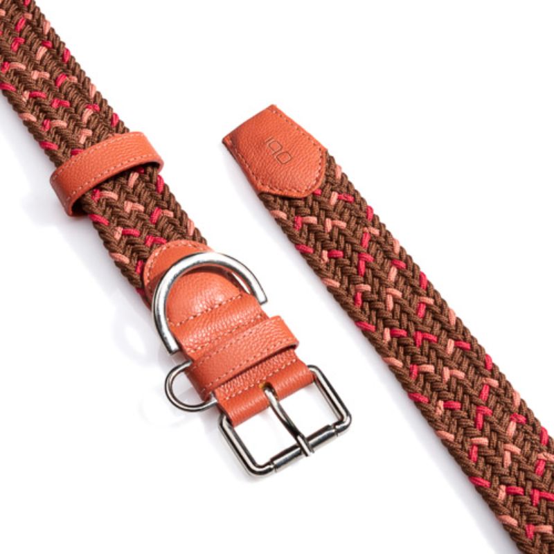 obi-pet-supplies-cloe-cookie-entrega-en-4-dias-habiles