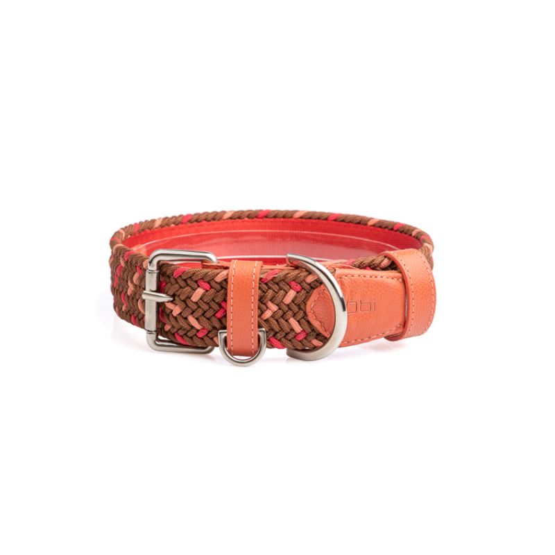 obi-pet-supplies-cloe-cookie-entrega-en-4-dias-habiles