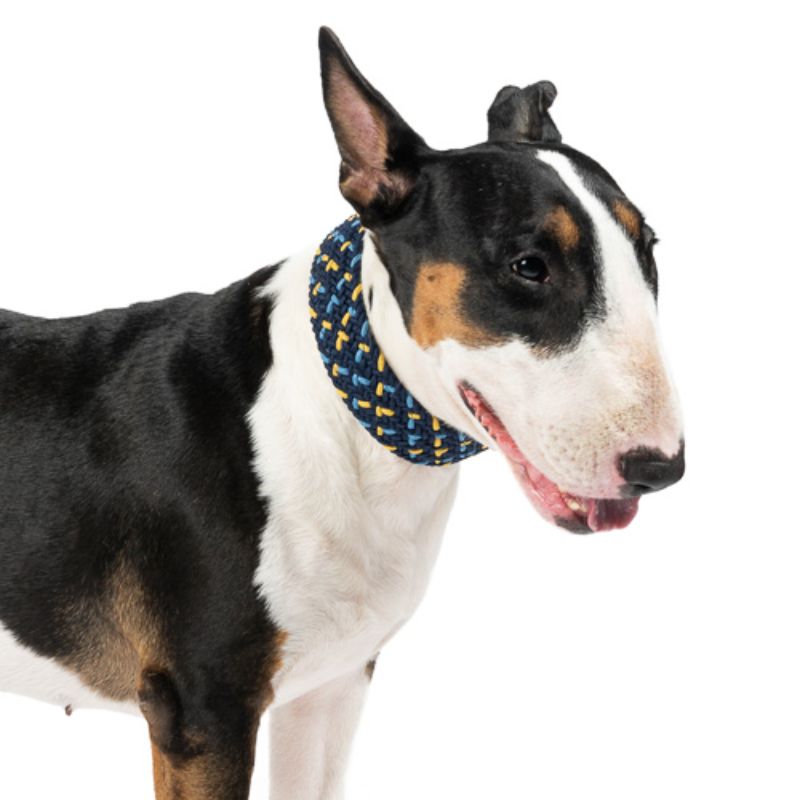 Obi Pet Supplies - Cloe Chispas