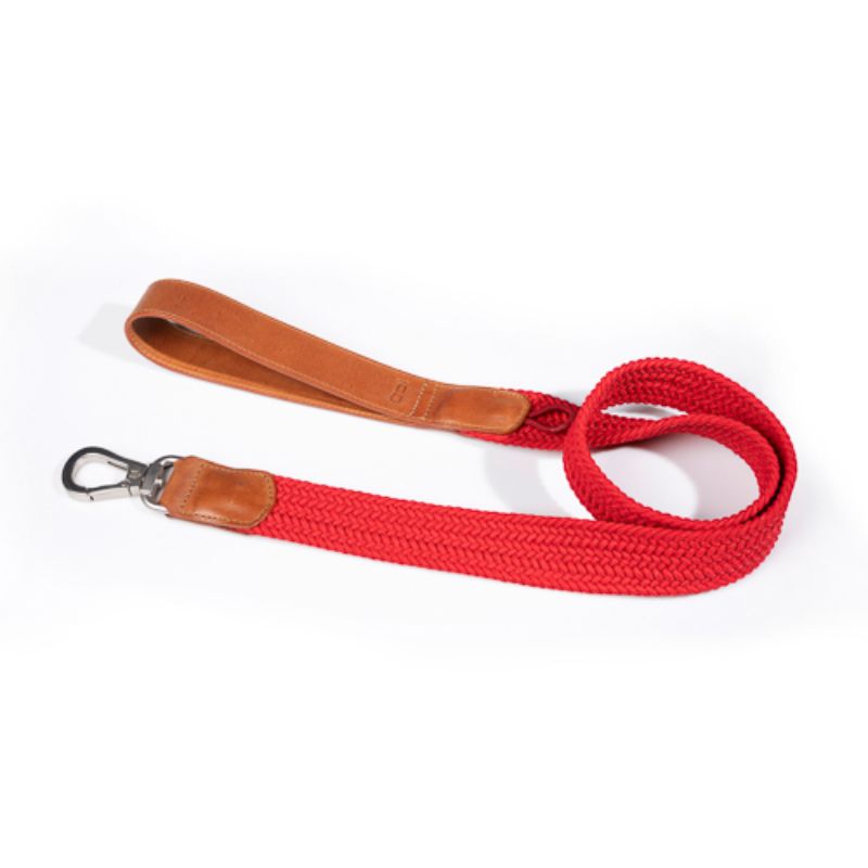 Obi Pet Supplies - Rufo Cereza