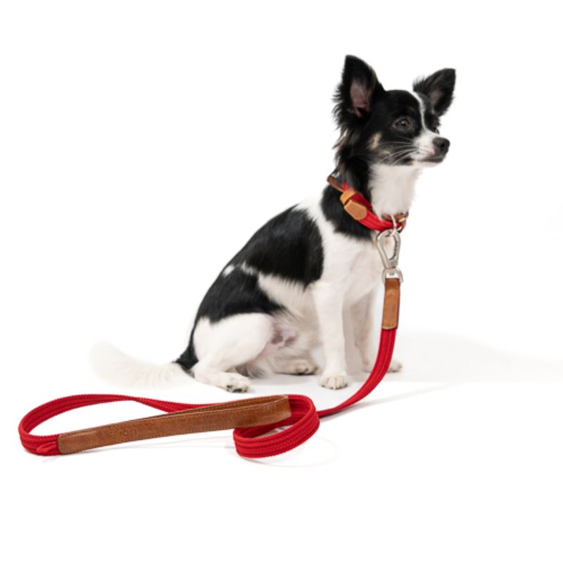 obi-pet-supplies-rufo-cereza-entrega-en-4-dias-habiles