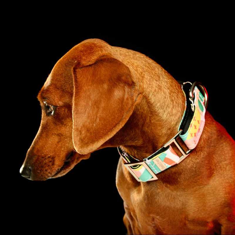 bellcher-collar-martingale-chillout-25-cm