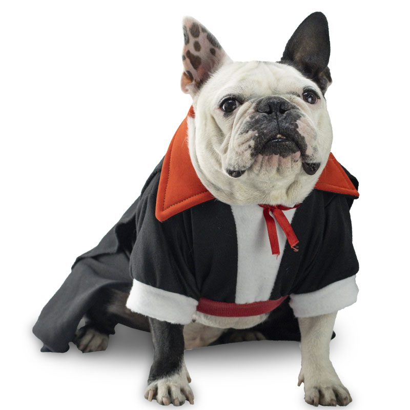 catm-disfraz-de-vampiro-para-mascota