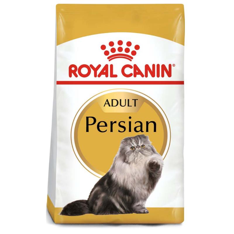 royal-canin-persa-adulto