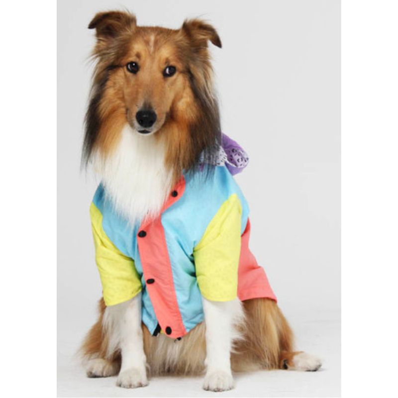 feroz-chaqueta-impermeable-pastel-entrega-en-4-dias-habiles