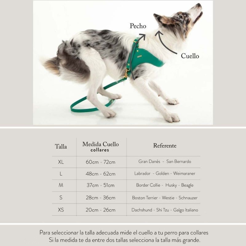 feroz-collar-cuero-turquesa-entrega-en-5-dias-habiles
