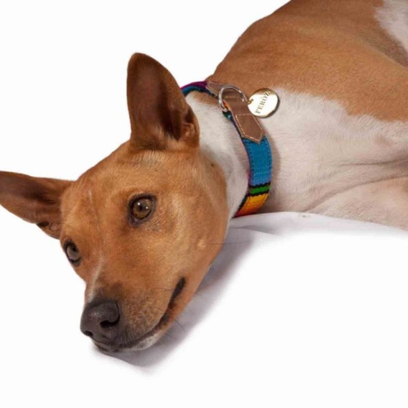 feroz-collar-artisan-maya-entrega-en-4-dias-habiles