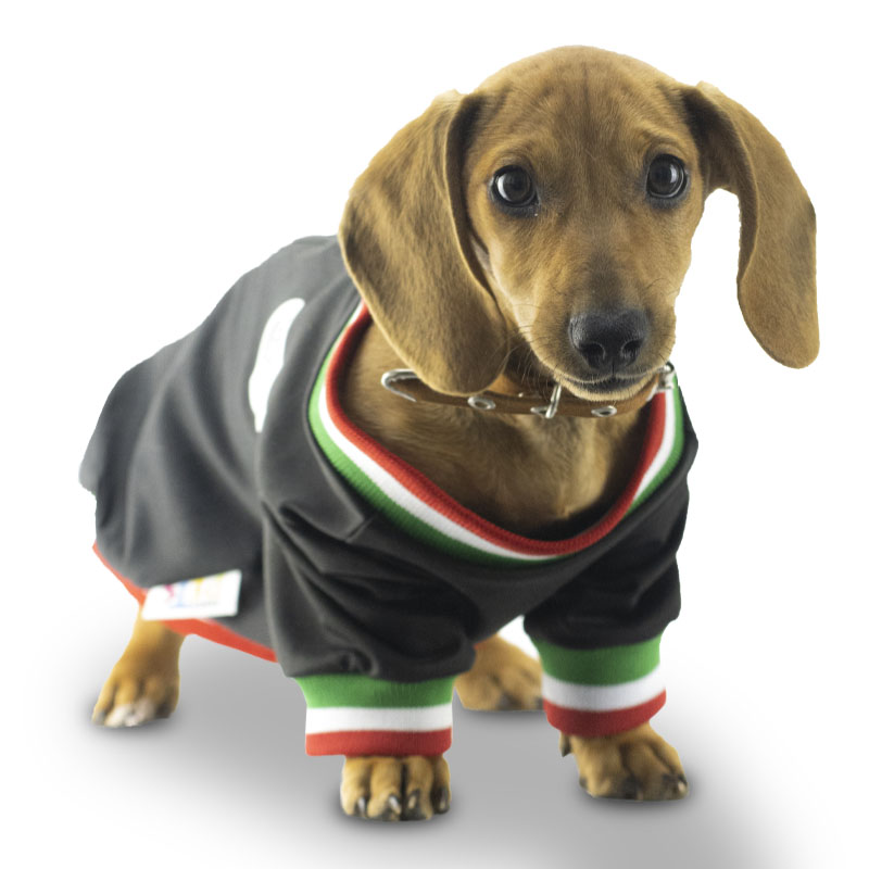 fancy-pets-chamarra-mexico-color-negro-para-perro