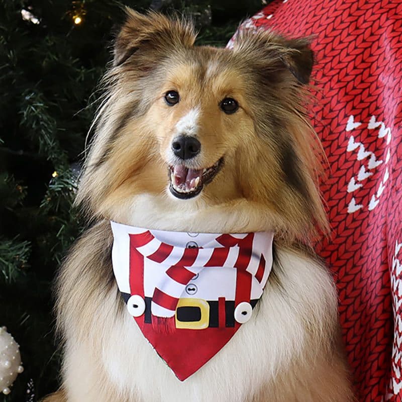 alana-y-bandana-bandana-navidena-santa